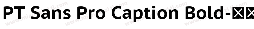 PT Sans Pro Caption Bold字体转换